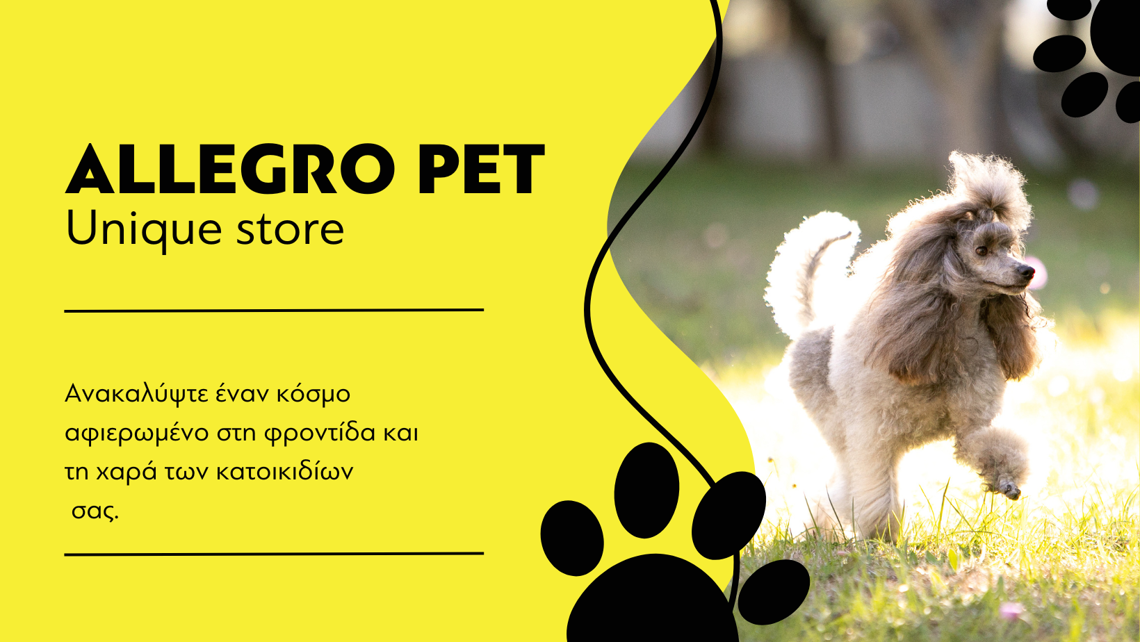 Allegro Pet είναι ένας όμορφος και φιλόξενος χώρος για κάθε λάτρη των κατοικίδιων